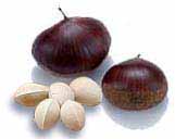 fruits, graines